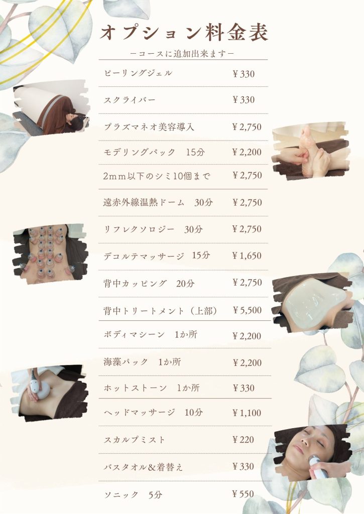 レアリゼ　オプション　メニュー